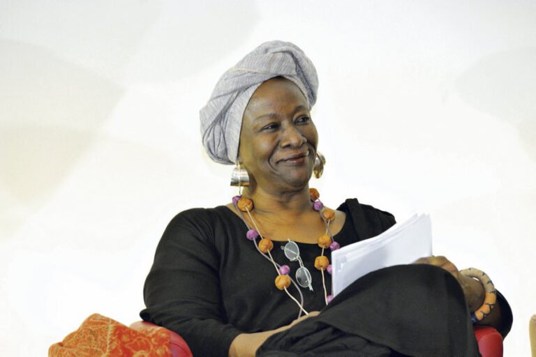 Aminata Dramane Traoré : l'engagée pour la cause de l'Afrique 1