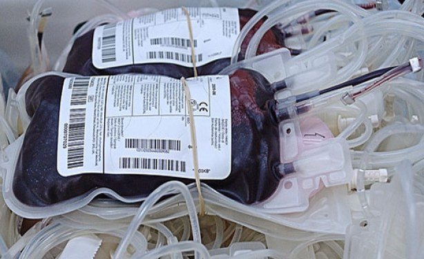 Burkina : les hôpitaux de Ouagadougou ont urgemment besoin de sang (pédiatre) 1