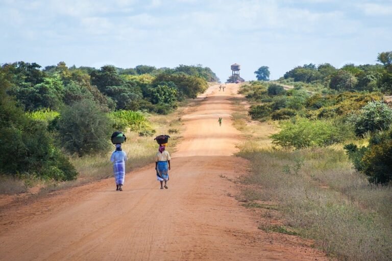 Du chemin pour la femme 1