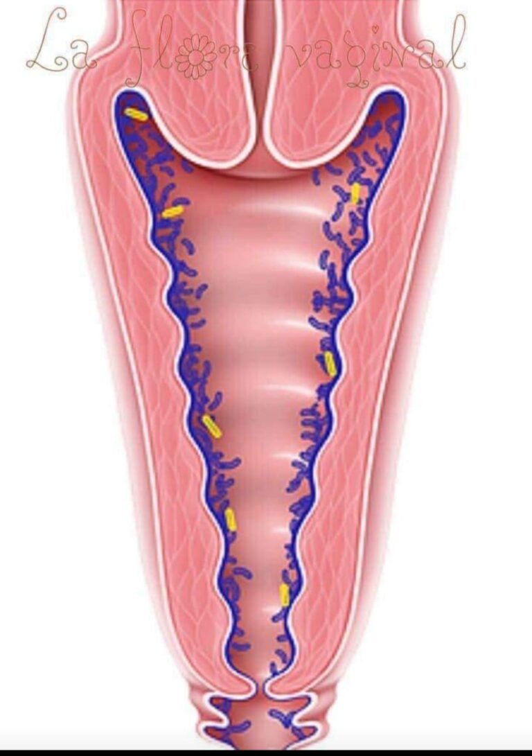 Maintien de la flore vaginale : ‘’Il faut éviter de nettoyer l’intérieur du vagin avec les doigts’’ Mariam Belem, sage-femme 5