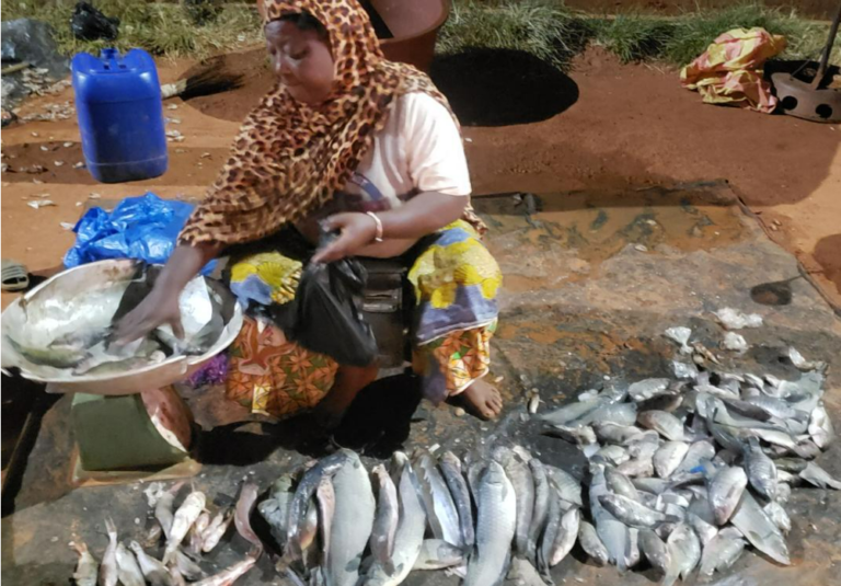 Poissons frais : Du barrage à l’assiette, le business des femmes de Bobo-Dioulasso 1