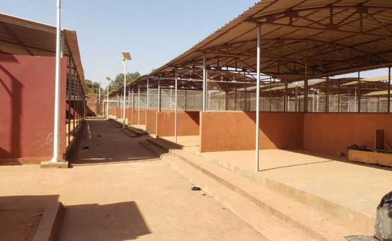 Bobo-Dioulasso : les femmes du marché de "leguéma lôgô" ont désormais leur ‘’chose’’ 19