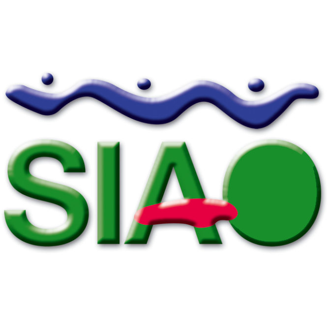 SIAO: Mariam Traoré/Ouédraogo est la nouvelle directrice 3
