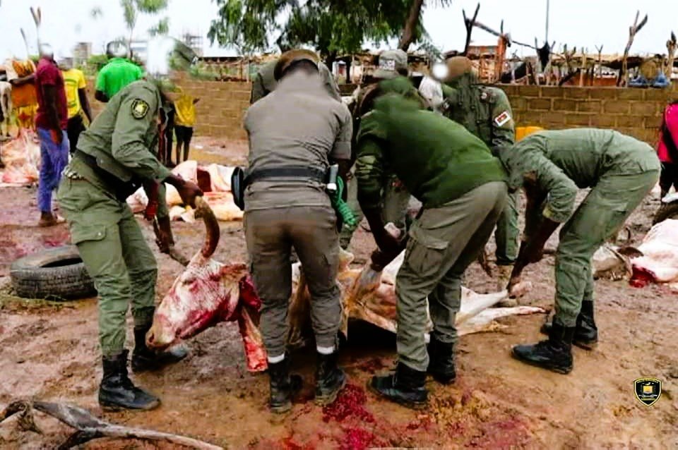 Burkina : une trentaine de têtes d’animaux démantelé dans un site d’abattage clandestin 1 Burkina : une trentaine de têtes d’animaux démantelé dans un site d’abattage clandestin 1
