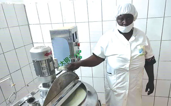 Entreprenariat laitier : Mariam Koita/ Dicko se fait un bénéfice de 130 millions de FCFA par an 27