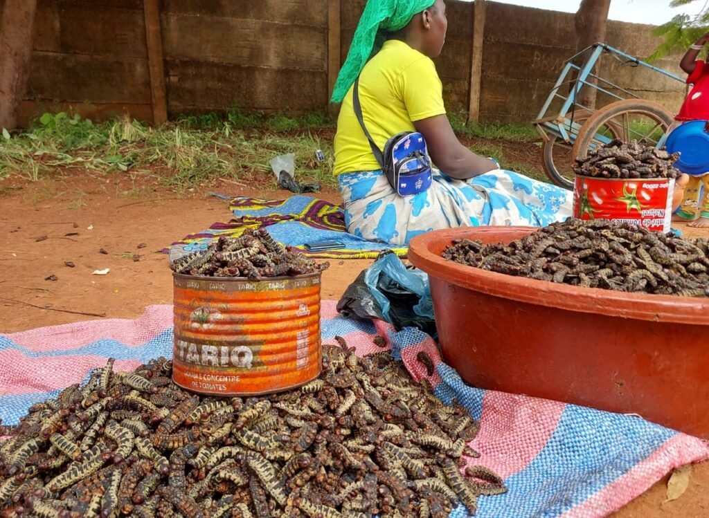 Bobo-Dioulasso : le chitoumou, un plat désormais classé dans les habitudes alimentaires 2 Bobo-Dioulasso : le chitoumou, un plat désormais classé dans les habitudes alimentaires 2