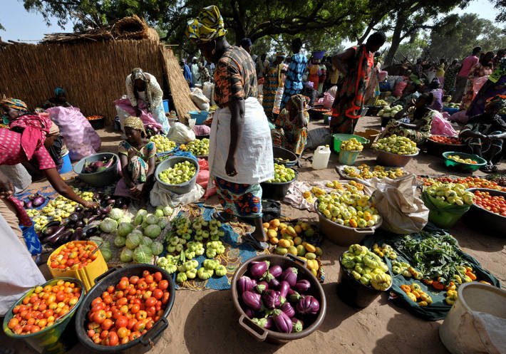 ‘’650 millions d’Africains n’ont pas d’accès économique ou physique à une alimentation suffisante’’ AGRA 11