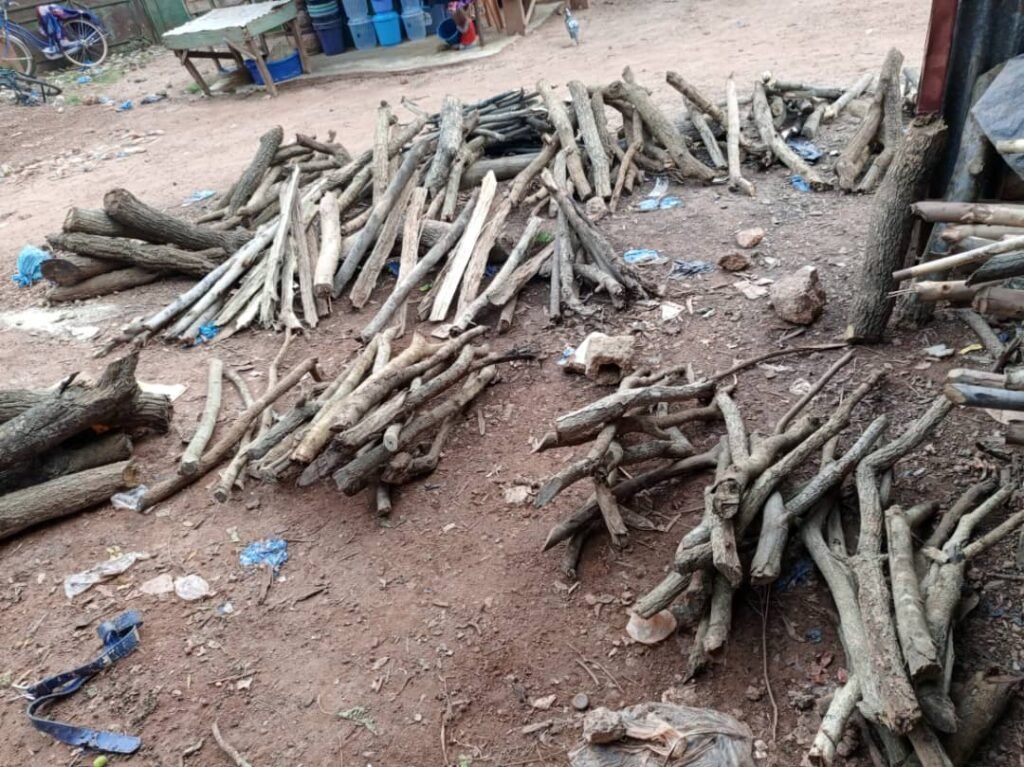Minata Kabore :  vendre du bois de chauffe pour survivre 3