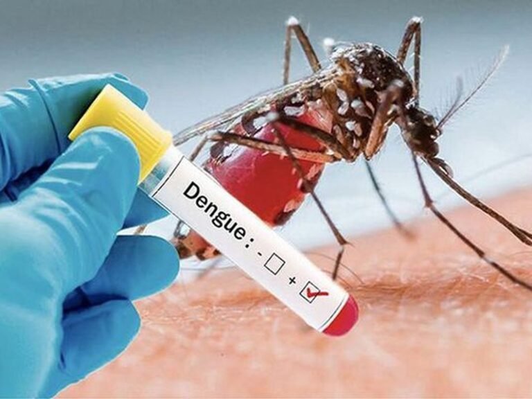 Dengue : 4377 cas probables dont 48 décès entre le 9 et le 15 octobre 2023 270