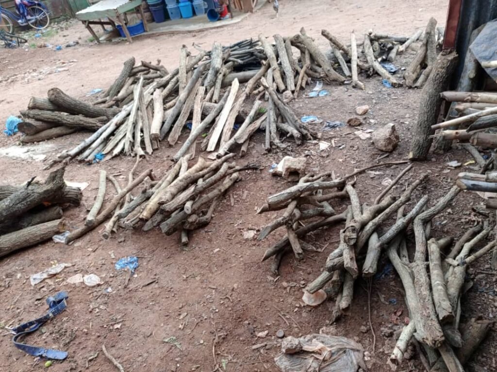 Minata Kabore :  vendre du bois de chauffe pour survivre 2