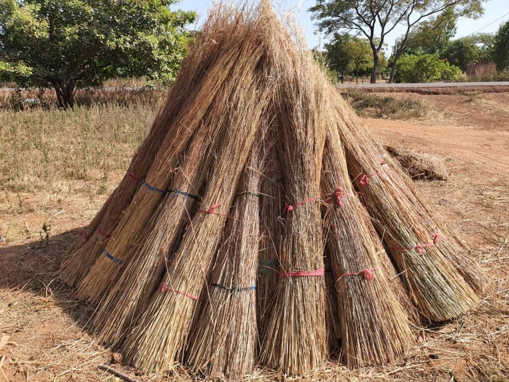 Minata Coulibaly : À plus de 70 ans, elle fauche toujours de la paille au champ pour vendre 3 Minata Coulibaly : À plus de 70 ans, elle fauche toujours de la paille au champ pour vendre 3