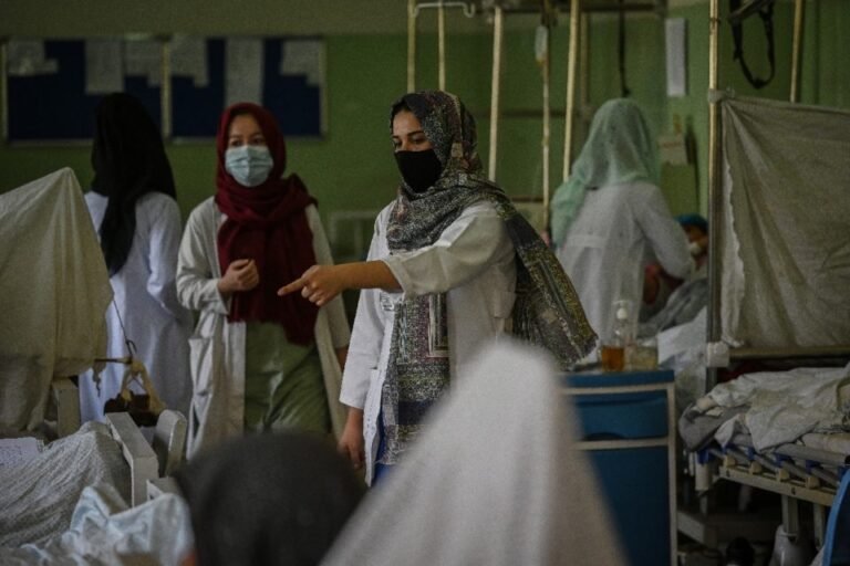 Afghanistan : 5000 femmes diplômées en médecine empêchées d'exercer leur profession 8
