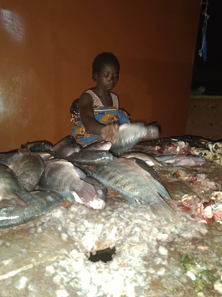 Burkina : profession,  "écailleuses " de poissons 3