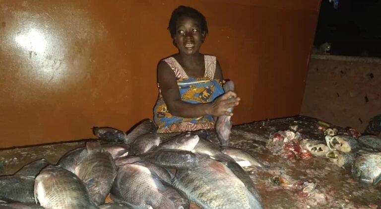 Burkina : profession,  "écailleuses " de poissons 6