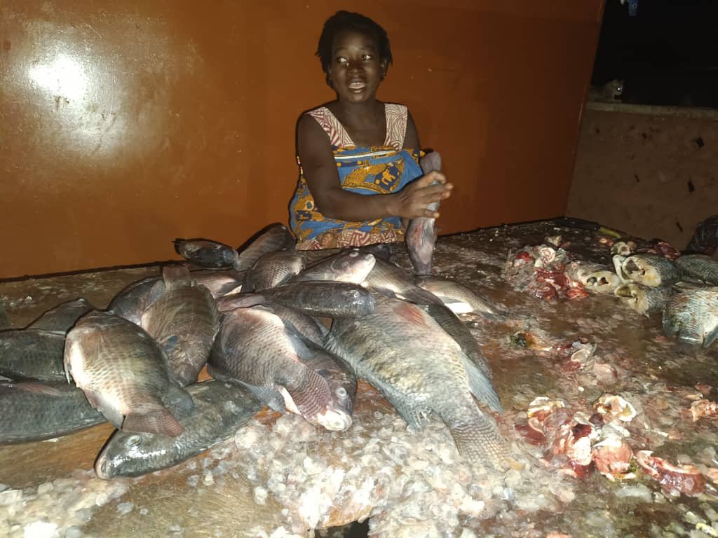 Burkina : profession,  "écailleuses " de poissons 2