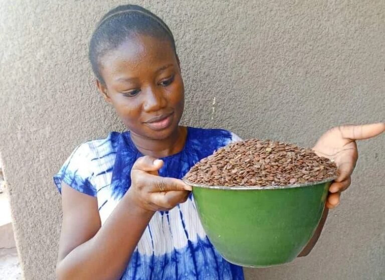 Alimata Sandya Paré : Elle révolutionne la cuisine locale avec des produits précuits 3