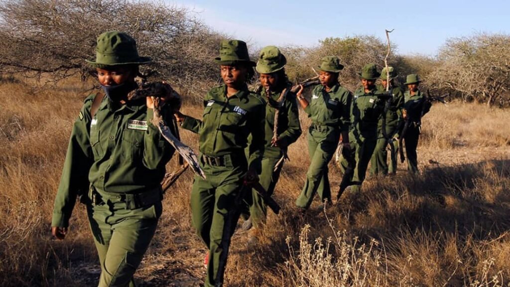 Kenya : Une équipe de protection de la faune sauvage de plus en plus féminine 2 Kenya : Une équipe de protection de la faune sauvage de plus en plus féminine 2