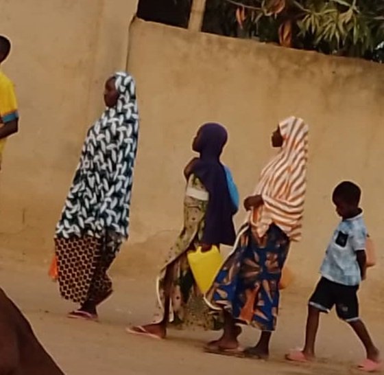 Niger : Des femmes et jeunes fille rurales en quête du mieux vivre 9