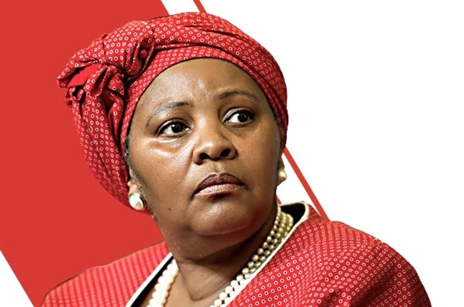 Afrique du Sud : La présidente de l'Assemblée Nationale soupçonnée de corruption 2 Afrique du Sud : La présidente de l'Assemblée Nationale soupçonnée de corruption 2