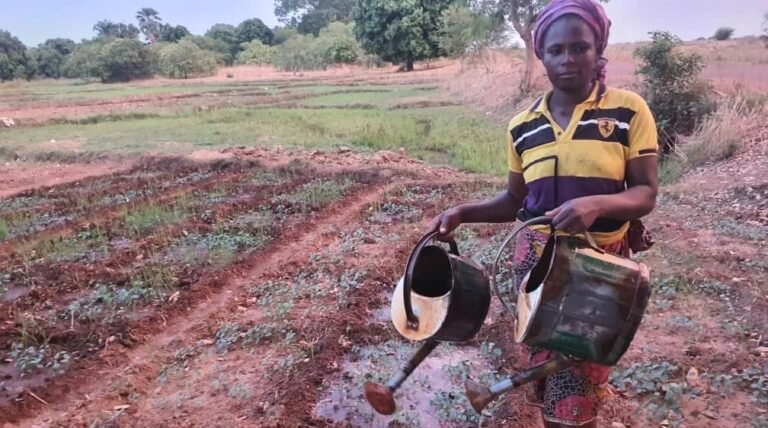 Alimatou Soura: La maraîchère spécialisée dans la production de feuilles d’oseille 1