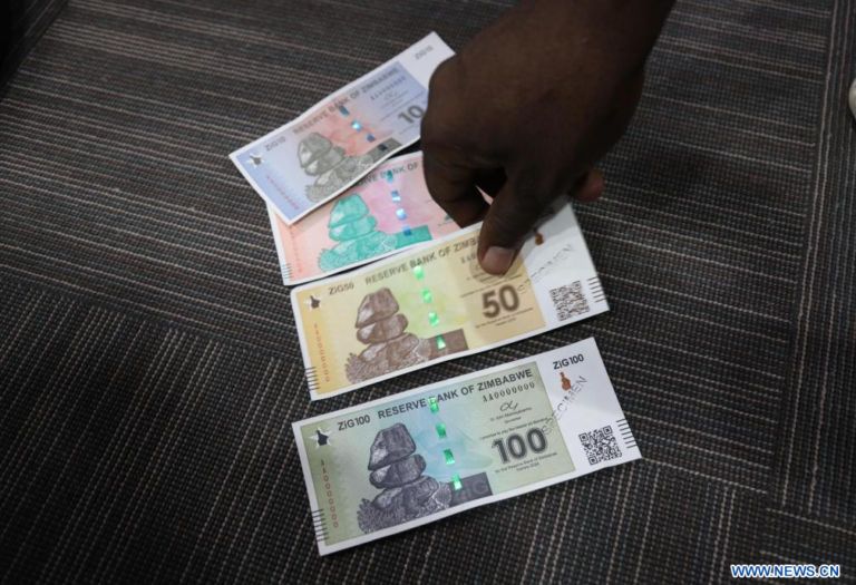 Zimbabwe : Une nouvelle monnaie mise en circulation dès le 30 avril 2024 11