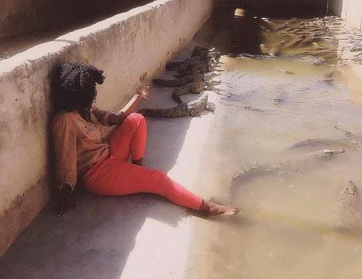 Vimbai Dzingirai: La première femme éleveuse de crocodiles au Zimbabwe 6
