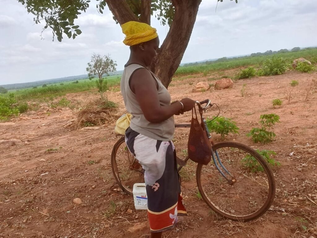Bérégadougou : Aminata Souratié, une femme rurale au ''cœur de feu'' 4 Bérégadougou : Aminata Souratié, une femme rurale au ''cœur de feu'' 4