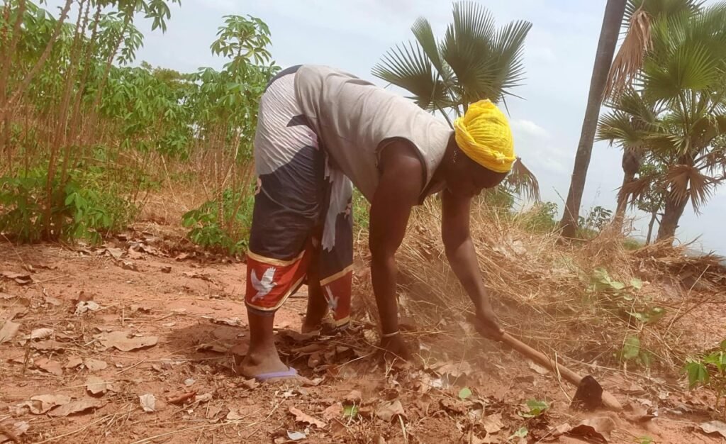 Bérégadougou : Aminata Souratié, une femme rurale au ''cœur de feu'' 3 Bérégadougou : Aminata Souratié, une femme rurale au ''cœur de feu'' 3