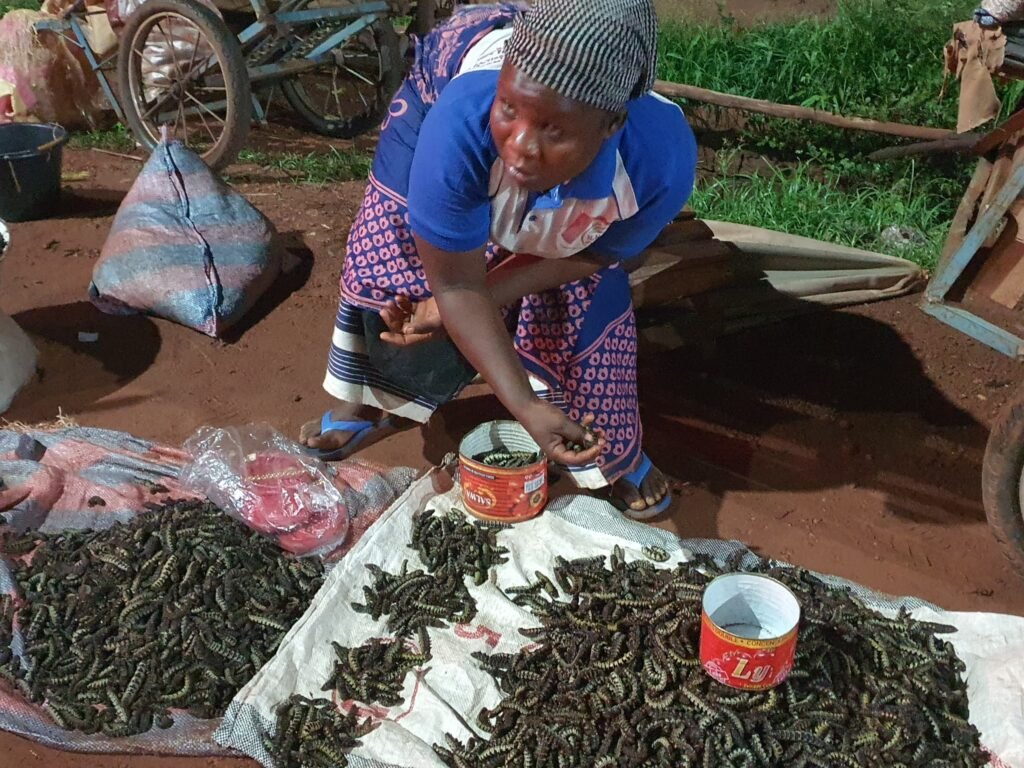 Bobo-Dioulasso : La boîte de chitoumou passe de 5000 à 4000 F CFA 3 Bobo-Dioulasso : La boîte de chitoumou passe de 5000 à 4000 F CFA 3