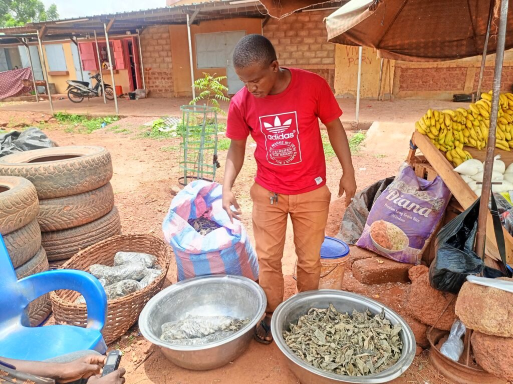 Baba Alpha Adama Dramer: Un informaticien reconvertit dans la vente de Kinkéliba à Ouahigouya 3 Baba Alpha Adama Dramer: Un informaticien reconvertit dans la vente de Kinkéliba à Ouahigouya 3