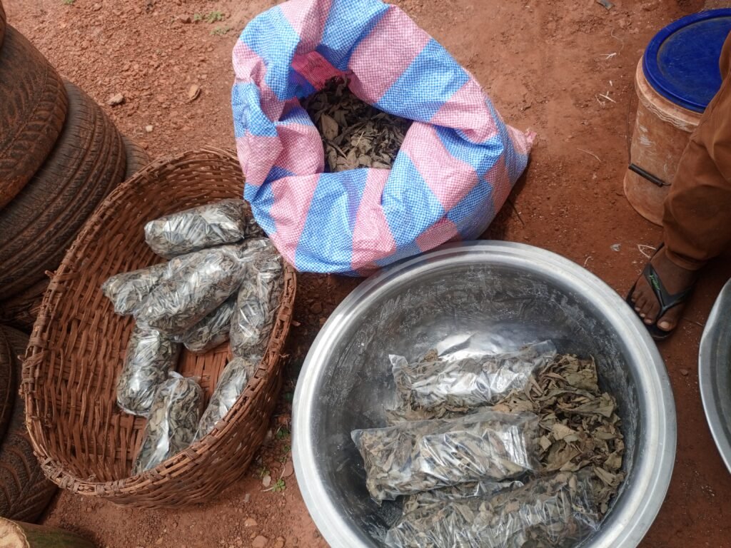 Baba Alpha Adama Dramer: Un informaticien reconvertit dans la vente de Kinkéliba à Ouahigouya 2 Baba Alpha Adama Dramer: Un informaticien reconvertit dans la vente de Kinkéliba à Ouahigouya 2