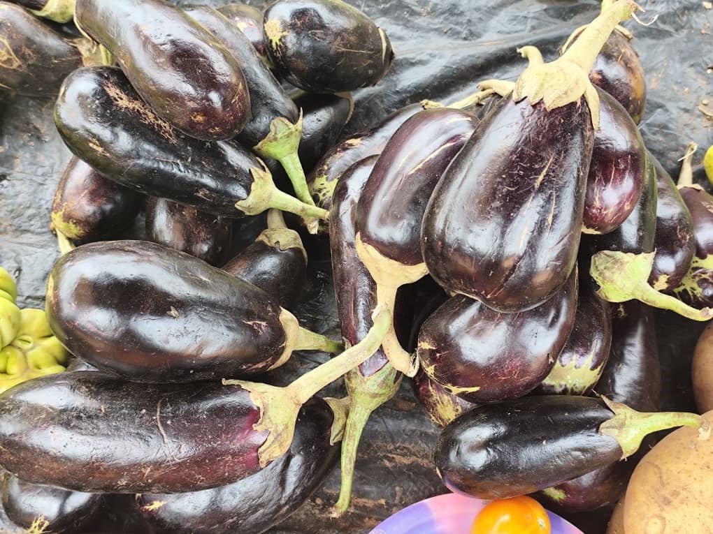 Aubergine : Le retour en quantité mais peu consommé 2 Aubergine : Le retour en quantité mais peu consommé 2