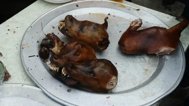 La viande de chien à Koudougou : Un mets prisé, même chez des femmes 3 La viande de chien à Koudougou : Un mets prisé, même chez des femmes 3