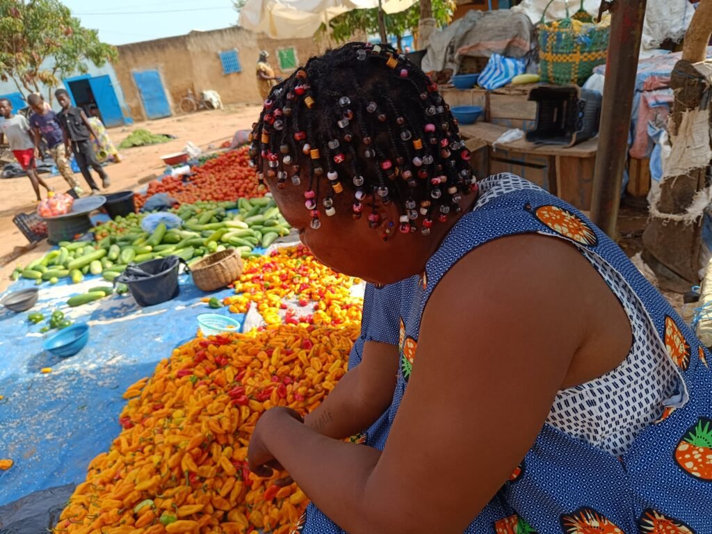 Tomates à Ouagadougou: De la rareté à l’abondance 3 Tomates à Ouagadougou: De la rareté à l’abondance 3