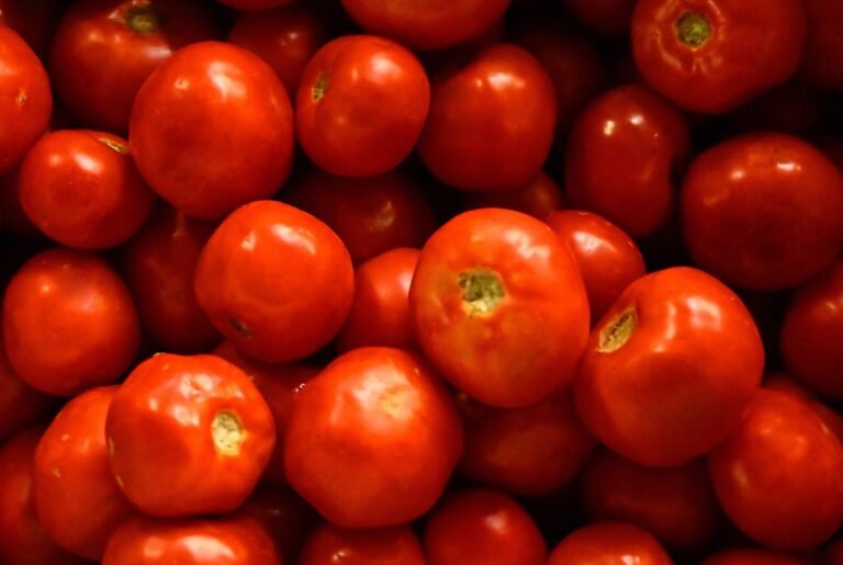 Tomates à Ouagadougou: De la rareté à l’abondance 8