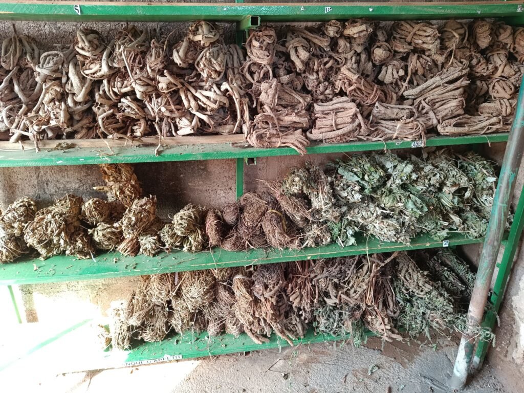 Kadidja Dianda : Celle qui combine la médecine traditionnelle au moderne 5 Kadidja Dianda : Celle qui combine la médecine traditionnelle au moderne 5