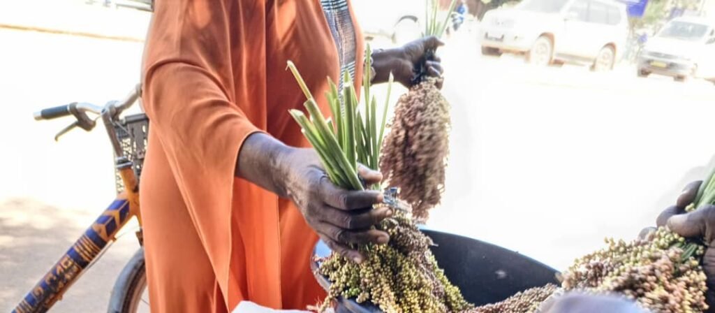 Les graines de sorgho: Une bonne affaire pour des femmes à Ouagadougou 4 Les graines de sorgho: Une bonne affaire pour des femmes à Ouagadougou 4