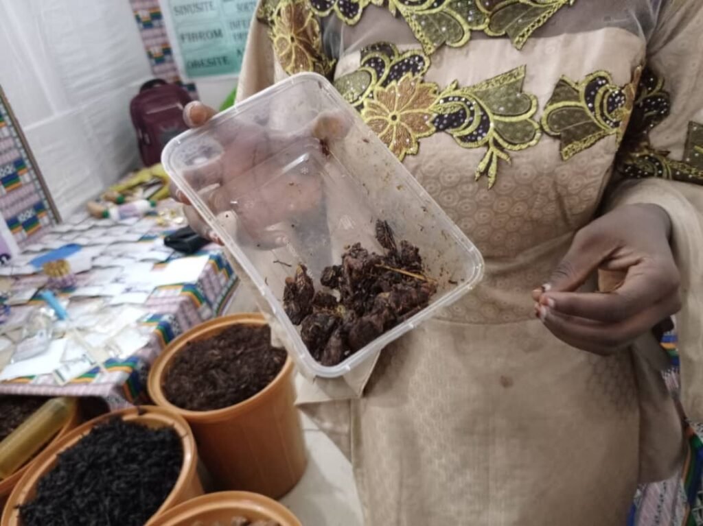 ''Woussoulants'' : Ces plantes qui embaument les pavillons et stands au SIAO 2024 5 ''Woussoulants'' : Ces plantes qui embaument les pavillons et stands au SIAO 2024 5