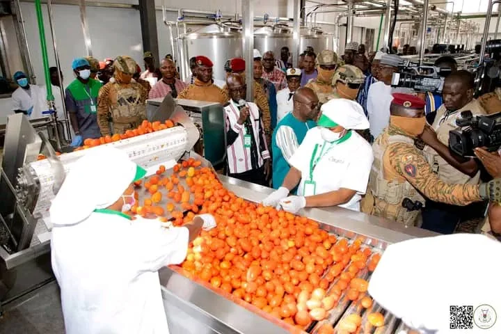 Burkina : Une deuxième usine de transformation de tomate à Yako 3 Burkina : Une deuxième usine de transformation de tomate à Yako 3