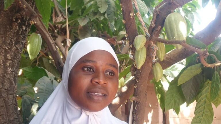 Bobo-Dioulasso : Latifatou, la femme qui cultive du cacao à domicile depuis 2017 1 Bobo-Dioulasso : Latifatou, la femme qui cultive du cacao à domicile depuis 2017 1