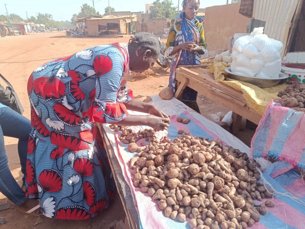 L'Eddoe ou Koudbada : Un tubercule aux vertus insoupçonnées 2 L'Eddoe ou Koudbada : Un tubercule aux vertus insoupçonnées 2