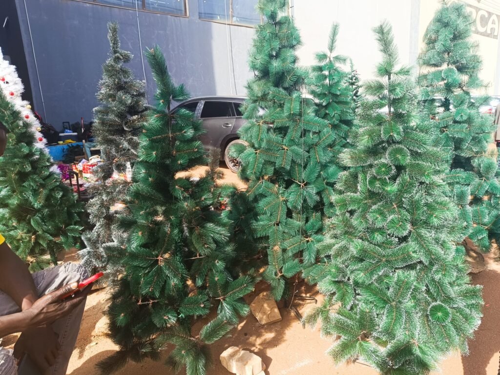 Sapins : Objet décoratif ou relique chrétienne ? 2 Sapins : Objet décoratif ou relique chrétienne ? 2