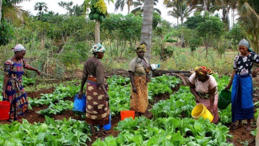 Burkina : Ces femmes à suivre en 2025 12 Burkina : Ces femmes à suivre en 2025 12