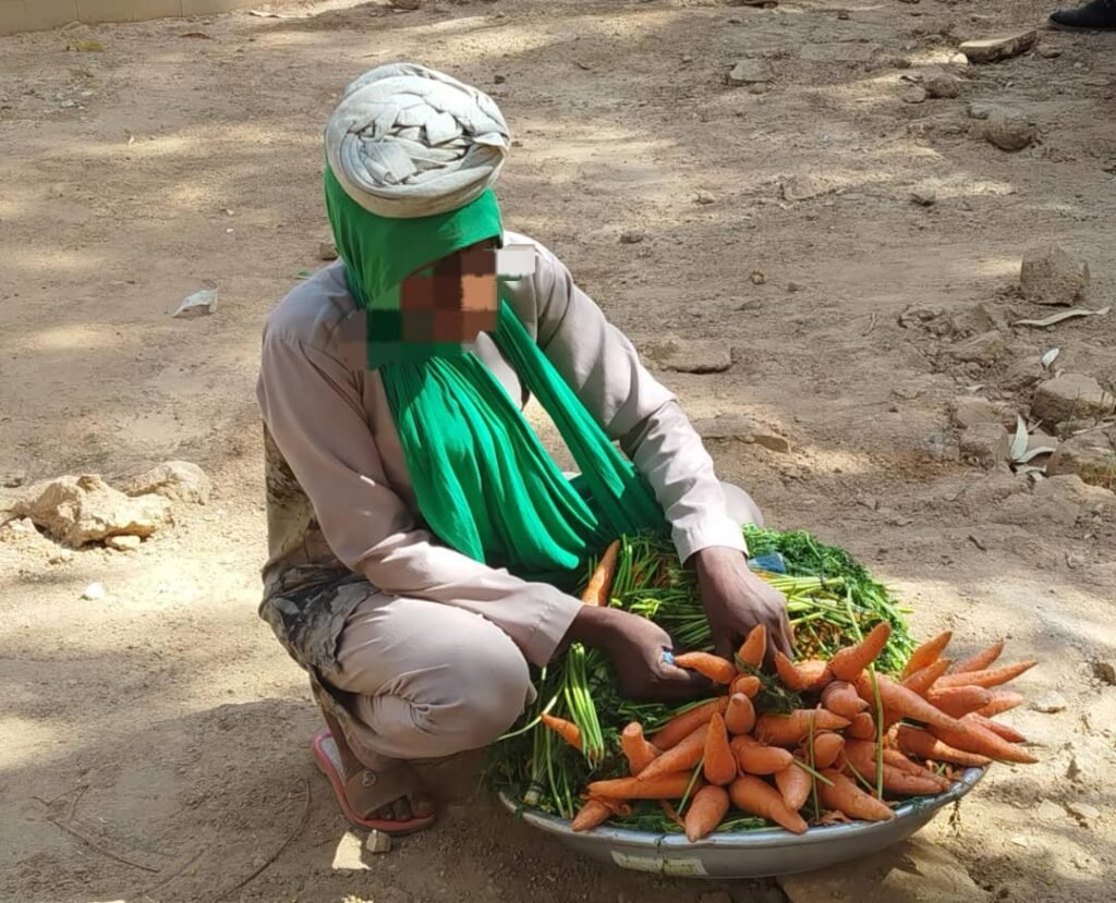 La carotte : La vedette des marchés et Yaars en période de sécheresse 4 La carotte : La vedette des marchés et Yaars en période de sécheresse 4