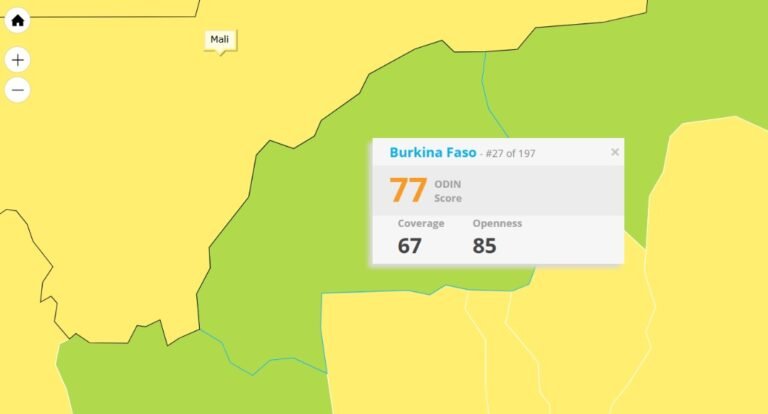 Le Burkina Faso, leader en Afrique de l'Ouest selon le classement ODIN 2024 9