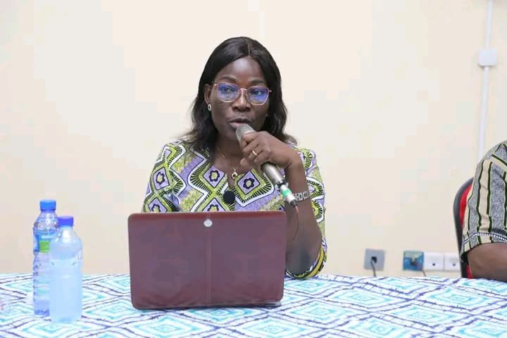 DGI : La directrice générale était en tournée dans 3 régions du Burkina 2 DGI : La directrice générale était en tournée dans 3 régions du Burkina 2