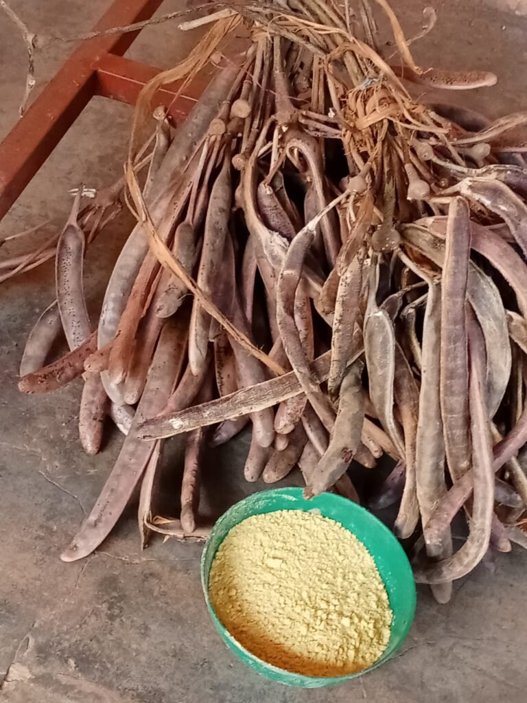 Le néré : Un trésor caché des marchés burkinabè 3 Le néré : Un trésor caché des marchés burkinabè 3