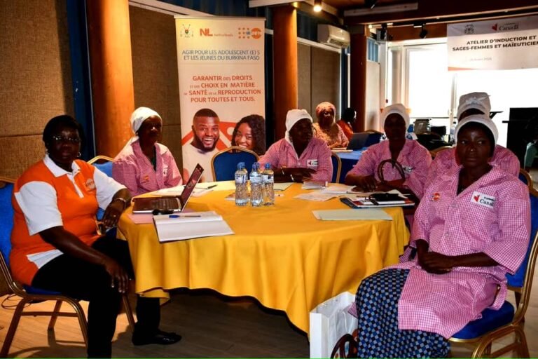 Burkina: 30 sage-femmes et maïeuticiens déployés dans des zones à fort défis sécuritaire 3