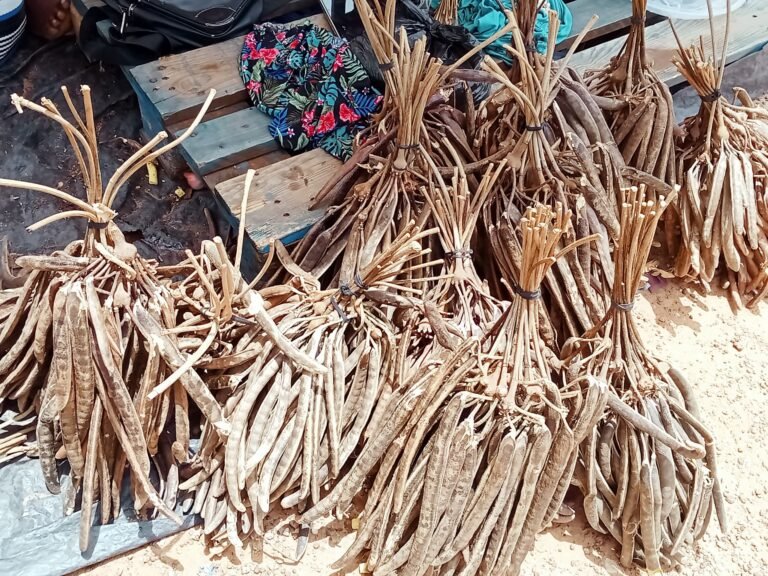Le néré : Un trésor caché des marchés burkinabè 4