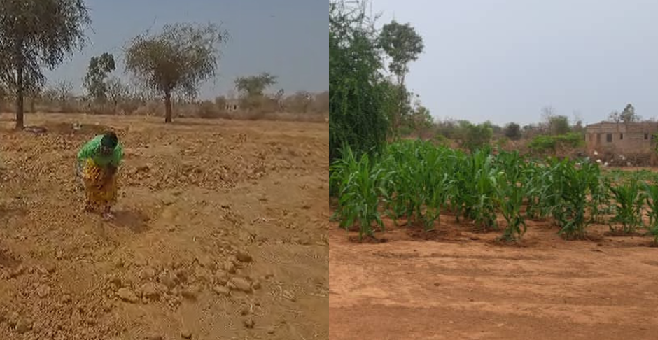 Initiative présidentielle pour la production agricole : Au-delà de la formation et l’autosuffisance alimentaire, un véritable cadre de cohésion sociale 2 Initiative présidentielle pour la production agricole : Au-delà de la formation et l’autosuffisance alimentaire, un véritable cadre de cohésion sociale 2